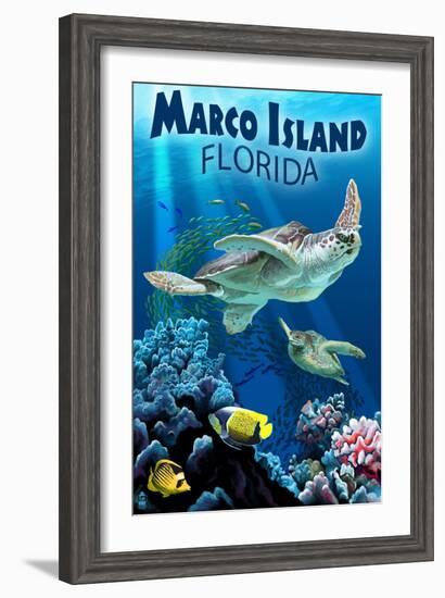 Marco Island, Florida - Sea Turtles-Lantern Press-Framed Art Print