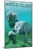 Marco Island - Manatees-Lantern Press-Mounted Art Print