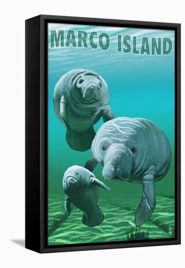 Marco Island - Manatees-Lantern Press-Framed Stretched Canvas