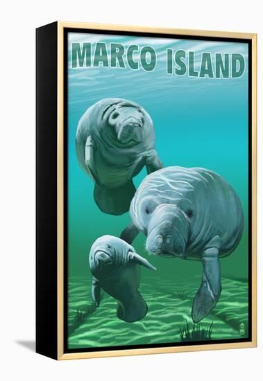 Marco Island - Manatees-Lantern Press-Framed Stretched Canvas