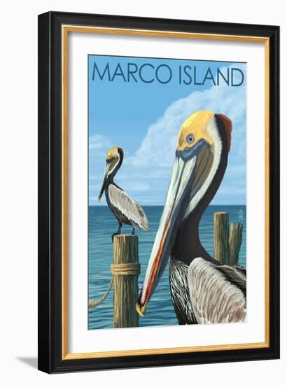 Marco Island - Pelicans-Lantern Press-Framed Premium Giclee Print