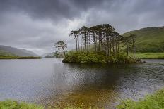 Loch Eilt, Scotland-Marco Isler-Photographic Print