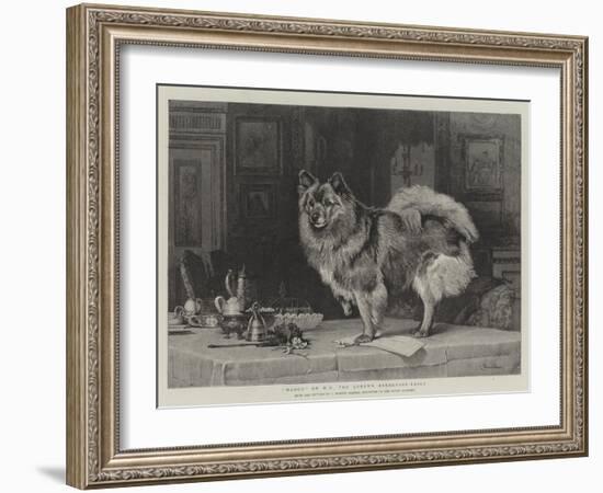 Marco on Hm the Queen's Breakfast-Table-Charles Burton Barber-Framed Giclee Print