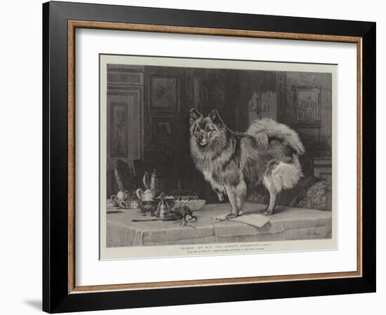 Marco on Hm the Queen's Breakfast-Table-Charles Burton Barber-Framed Giclee Print