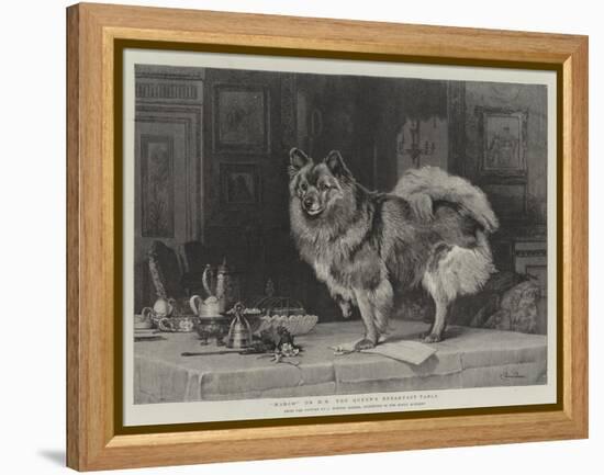 Marco on Hm the Queen's Breakfast-Table-Charles Burton Barber-Framed Premier Image Canvas