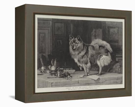 Marco on Hm the Queen's Breakfast-Table-Charles Burton Barber-Framed Premier Image Canvas