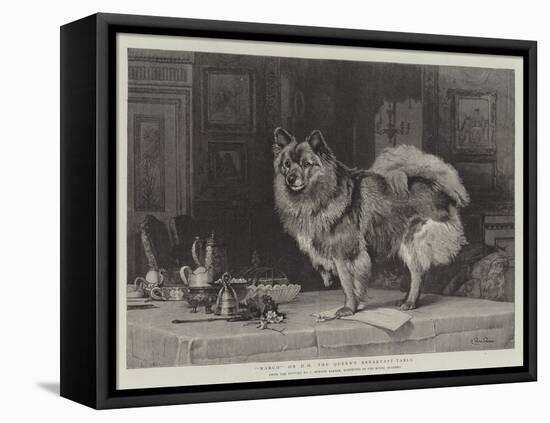 Marco on Hm the Queen's Breakfast-Table-Charles Burton Barber-Framed Premier Image Canvas