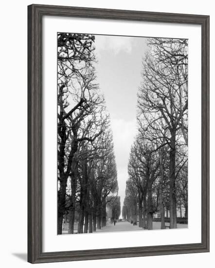 Marco Polo Garden, Boulevard Saint Michel-Walter Bibikow-Framed Photographic Print