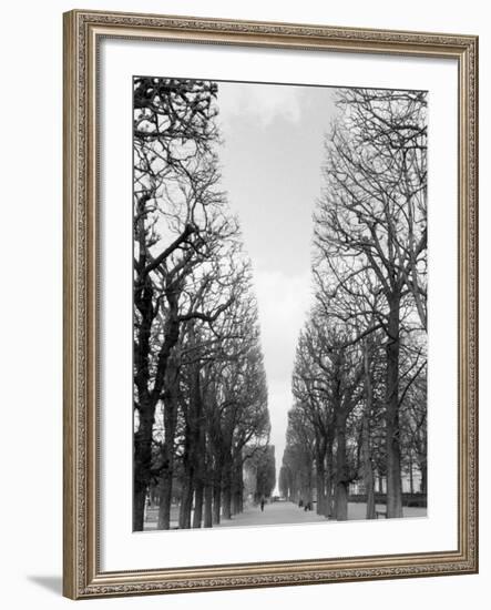 Marco Polo Garden, Boulevard Saint Michel-Walter Bibikow-Framed Photographic Print