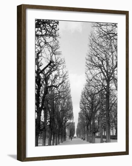 Marco Polo Garden, Boulevard Saint Michel-Walter Bibikow-Framed Photographic Print