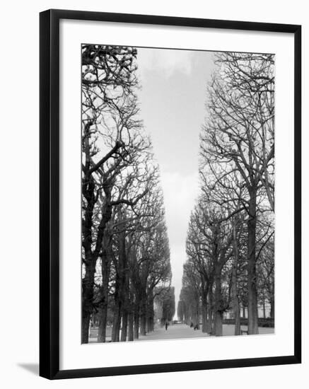 Marco Polo Garden, Boulevard Saint Michel-Walter Bibikow-Framed Photographic Print