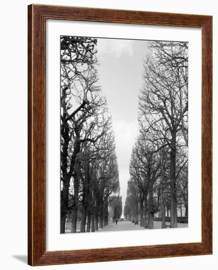 Marco Polo Garden, Boulevard Saint Michel-Walter Bibikow-Framed Photographic Print