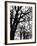 Marco Polo Garden, Boulevard Saint Michel-Walter Bibikow-Framed Photographic Print