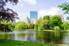 Boston Skyline-marcorubino-Framed Premier Image Canvas