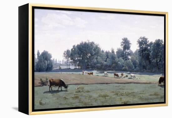 Marcoussis - Cows Grazing, 1845-50-Jean-Baptiste-Camille Corot-Framed Premier Image Canvas