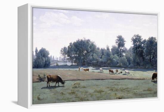 Marcoussis - Cows Grazing, 1845-50-Jean-Baptiste-Camille Corot-Framed Premier Image Canvas