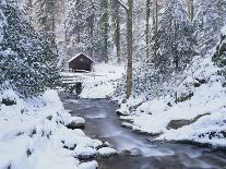 Cottage in a Forest in Winter-Marcus Lange-Photographic Print