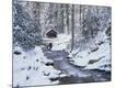 Photographic Print