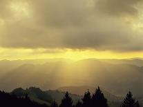 Sunrise on Belchen Mountain, Black Forest, Baden Wurttemberg, Germany, Europe-Marcus Lange-Photographic Print