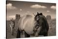 Stretched Canvas Print