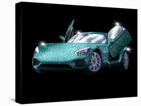 Stretched Canvas Print, , large