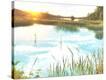 Stretched Canvas Print