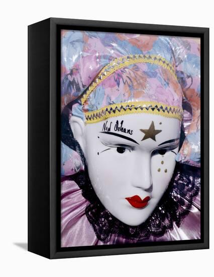 Mardi Gras Mask-Carol Highsmith-Framed Stretched Canvas