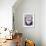 Mardi Gras Mask-Carol Highsmith-Framed Photo displayed on a wall