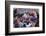 Mardi Gras, New Orleans, Louisiana, USA-Charles Bowman-Framed Photographic Print