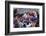 Mardi Gras, New Orleans, Louisiana, USA-Charles Bowman-Framed Photographic Print