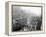 Mardi Gras Procession on Canal St., New Orleans-null-Framed Stretched Canvas