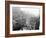 Mardi Gras Procession on Canal St., New Orleans-null-Framed Photo