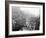 Mardi Gras Procession on Canal St., New Orleans-null-Framed Photo