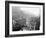 Mardi Gras Procession on Canal St., New Orleans-null-Framed Photo