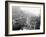 Mardi Gras Procession on Canal St., New Orleans-null-Framed Photo