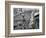 Mardi Gras Revelers Gather at Canal Street-null-Framed Photographic Print