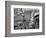 Mardi Gras Revelers Gather at Canal Street-null-Framed Photographic Print