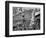 Mardi Gras Revelers Gather at Canal Street-null-Framed Photographic Print