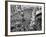 Mardi Gras Revelers Gather at Canal Street-null-Framed Photographic Print