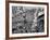 Mardi Gras Revelers Gather at Canal Street-null-Framed Photographic Print