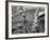 Mardi Gras Revelers Gather at Canal Street-null-Framed Photographic Print