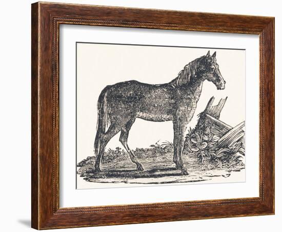 Mare, 1850 (Engraving)-Louis Simon (1810-1870) Lassalle-Framed Giclee Print