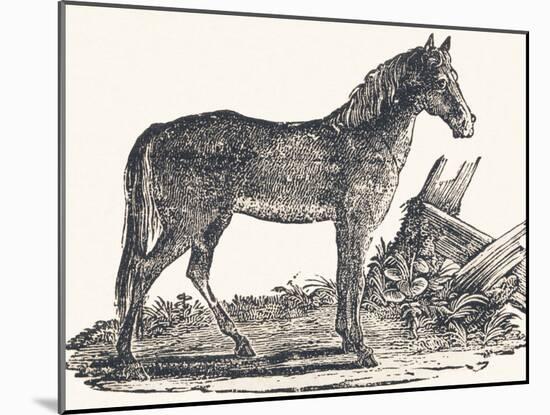 Mare, 1850 (Engraving)-Louis Simon (1810-1870) Lassalle-Mounted Giclee Print