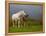 Mare and Foal, Co Derry, Ireland-null-Framed Premier Image Canvas