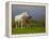 Mare and Foal, Co Derry, Ireland-null-Framed Premier Image Canvas