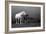 Mare and Foal, Co Derry, Ireland-null-Framed Photographic Print