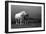 Mare and Foal, Co Derry, Ireland-null-Framed Photographic Print