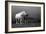 Mare and Foal, Co Derry, Ireland-null-Framed Photographic Print