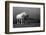 Mare and Foal, Co Derry, Ireland-null-Framed Photographic Print