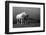 Mare and Foal, Co Derry, Ireland-null-Framed Photographic Print